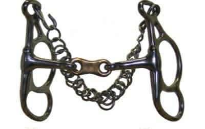 mors papillon double brisure